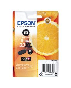 Epson Original T3361 Oranges T33XL Photo Black Ink Cartridge